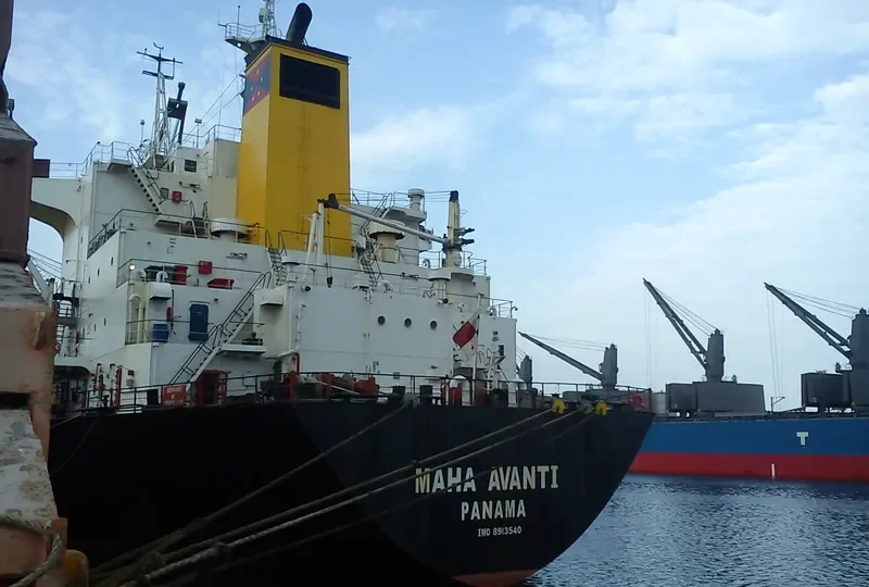 BOLD VOYAGER Bulk Carrier IMO 8913540 photo 4