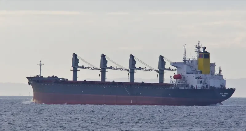 BOLD VOYAGER Bulk Carrier IMO 8913540 photo 5