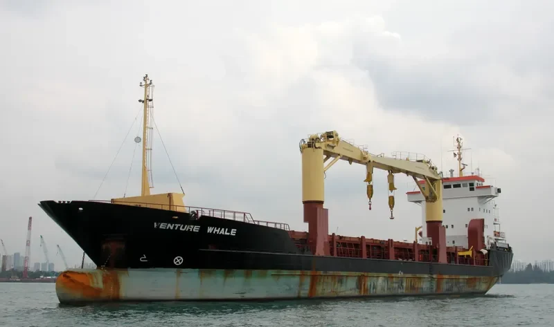PROSPER General Cargo IMO 8913887 photo 10