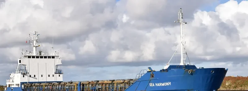 SEA HARMONY General Cargo IMO 8914166 photo 6