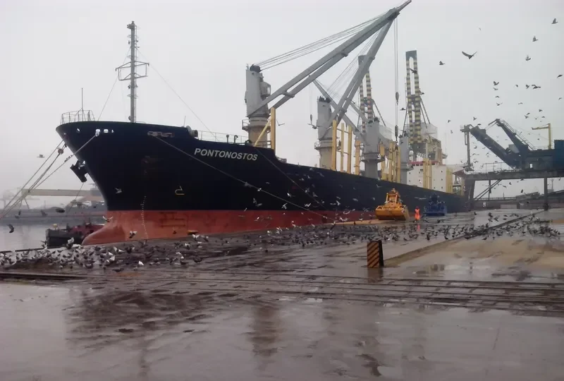 NAVIGATOR B Bulk Carrier IMO 8914245 photo 3