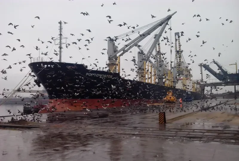NAVIGATOR B Bulk Carrier IMO 8914245 photo 4