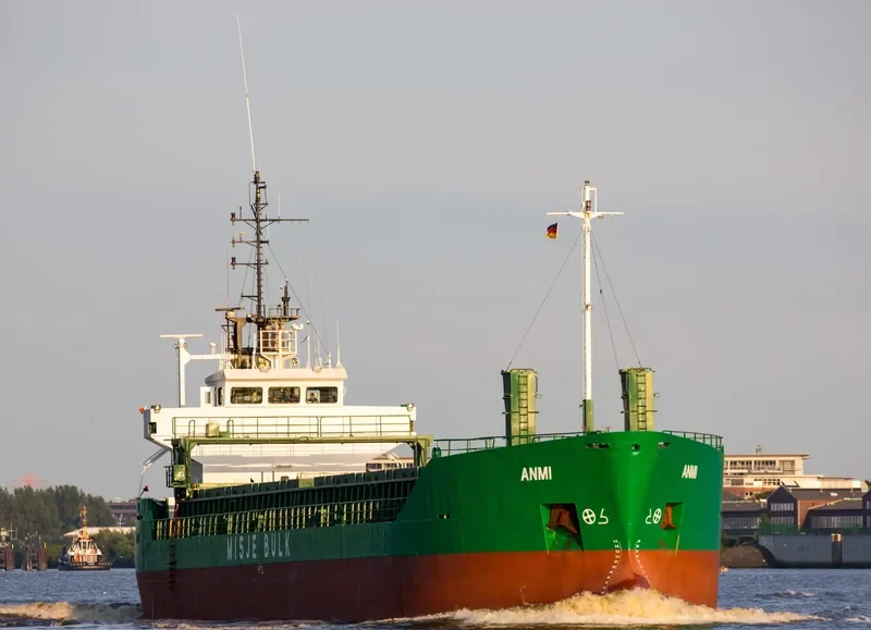 ANMI General Cargo IMO 8914283 photo 10