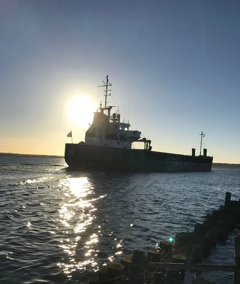 BIMI General Cargo IMO 8914295 photo 6