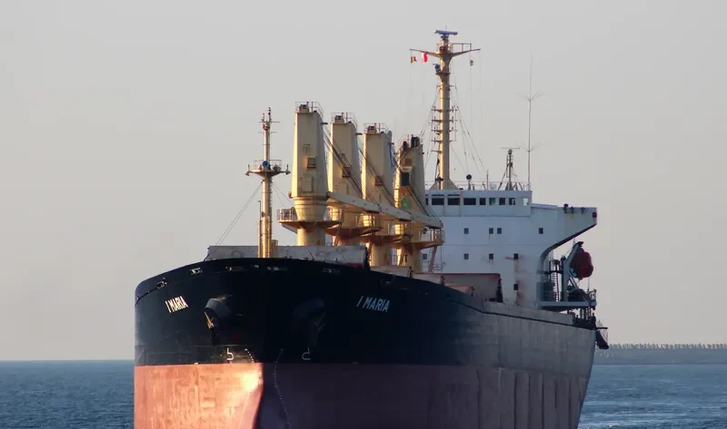 I MARIA Bulk Carrier IMO 8914697 photo 7