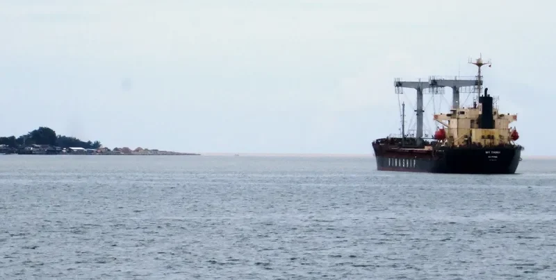MY THINH Bulk Carrier IMO 8915304