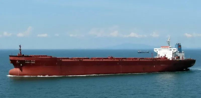 HARMONY CARRIER Bulk Carrier IMO 8915392 photo 2