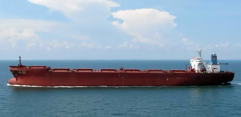 HARMONY CARRIER Bulk Carrier IMO 8915392 photo 3