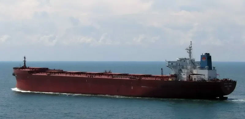 HARMONY CARRIER Bulk Carrier IMO 8915392 photo 4