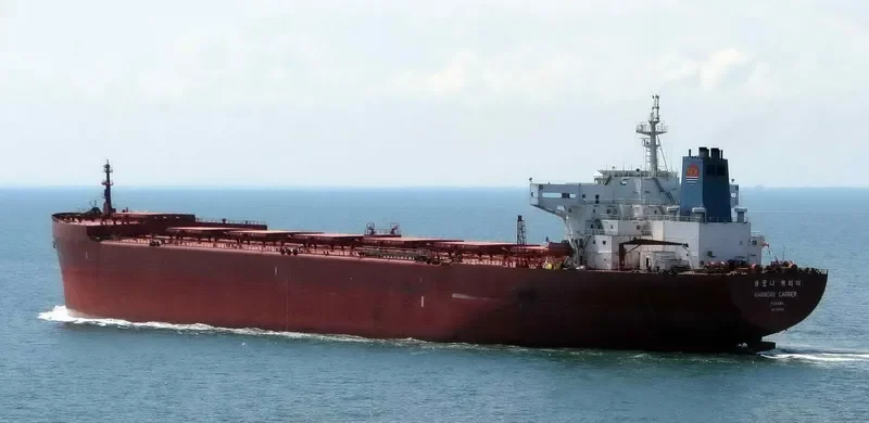HARMONY CARRIER Bulk Carrier IMO 8915392 photo 5