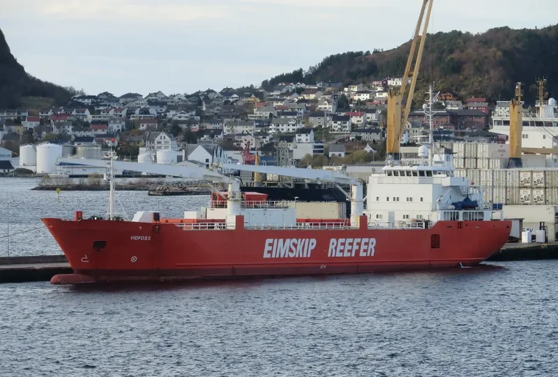 SILVER BIRD General Cargo IMO 8915524