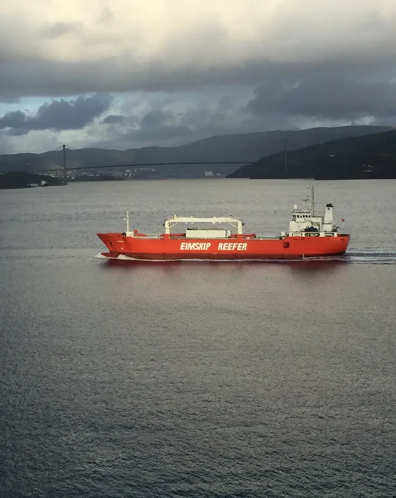 SILVER BIRD General Cargo IMO 8915524 photo 2