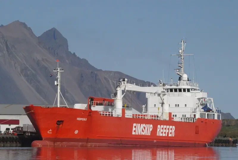 SILVER BIRD General Cargo IMO 8915524 photo 3