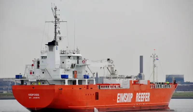 SILVER BIRD General Cargo IMO 8915524 photo 4