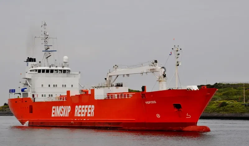 SILVER BIRD General Cargo IMO 8915524 photo 5
