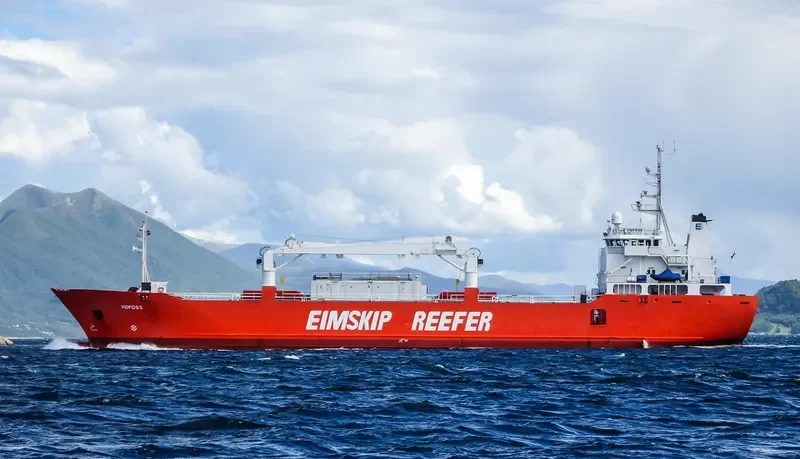 SILVER BIRD General Cargo IMO 8915524 photo 7