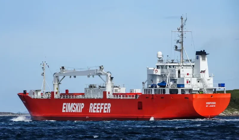 SILVER BIRD General Cargo IMO 8915524 photo 8