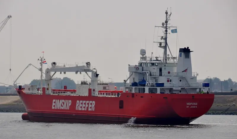 SILVER BIRD General Cargo IMO 8915524 photo 9