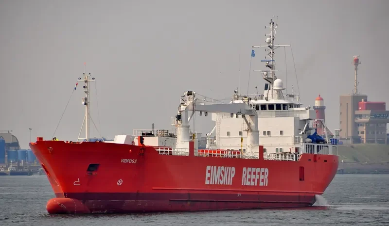 SILVER BIRD General Cargo IMO 8915524 photo 10