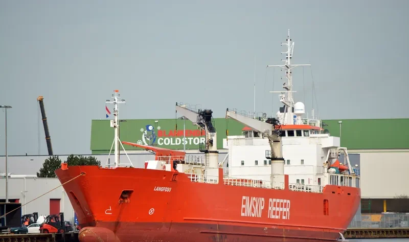 LANGFOSS General Cargo IMO 8915536 photo 10