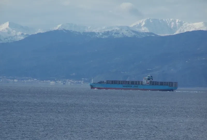 GATO Container Ship IMO 8915689 photo 3