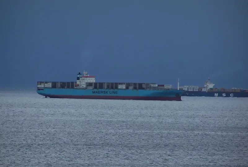 GATO Container Ship IMO 8915689 photo 4