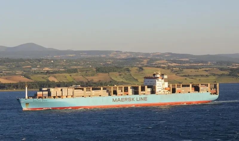 BALTARIO Container Ship IMO 8915706 photo 3