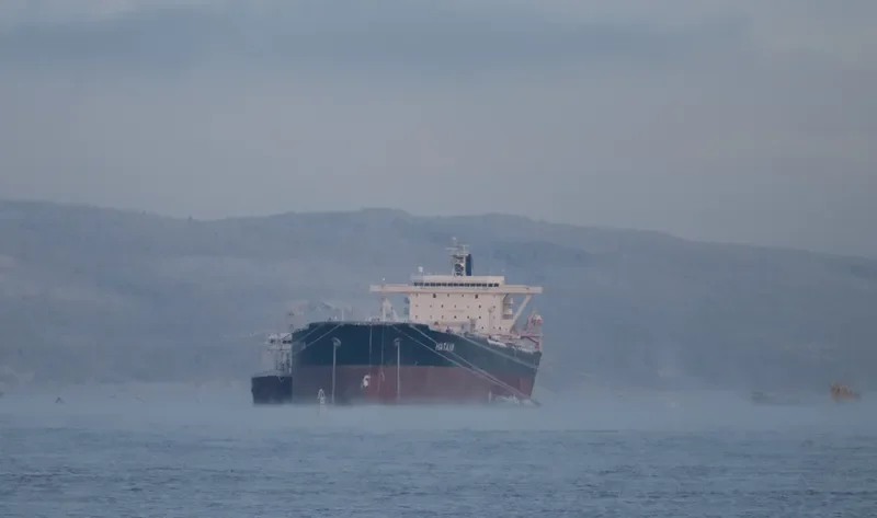 NATALY Tanker IMO 8915794 photo 7