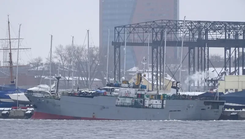 VITIM General Cargo IMO 8916798 photo 7
