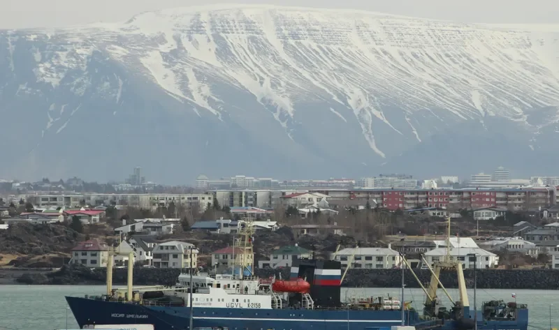 IOSIF SHMELKIN General Cargo IMO 8917223 photo 2