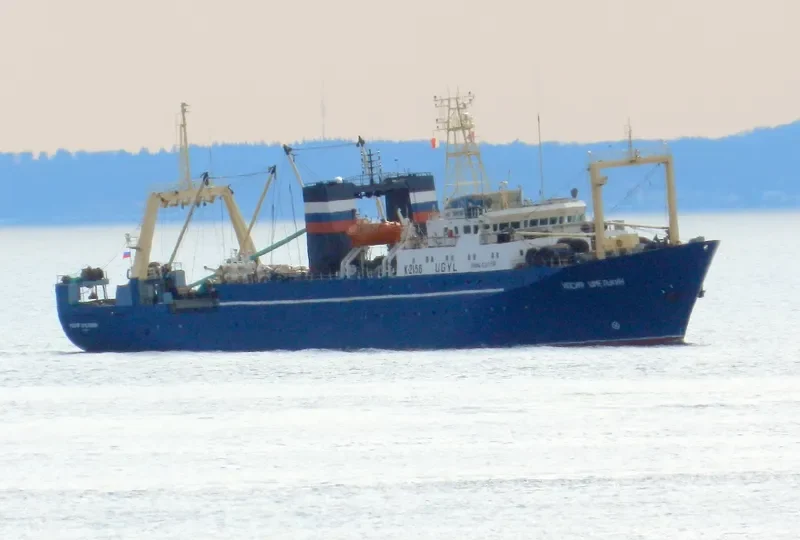 IOSIF SHMELKIN General Cargo IMO 8917223 photo 3