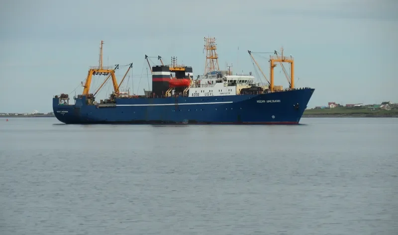 IOSIF SHMELKIN General Cargo IMO 8917223 photo 4