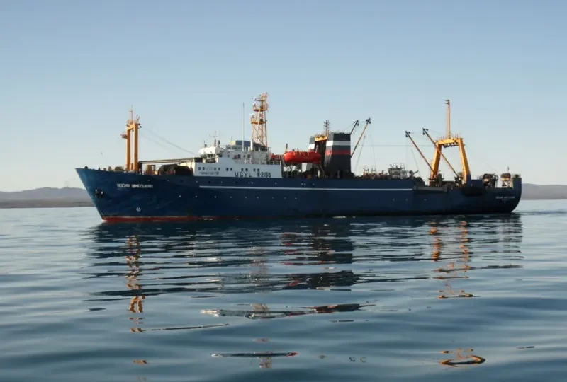 IOSIF SHMELKIN General Cargo IMO 8917223 photo 5
