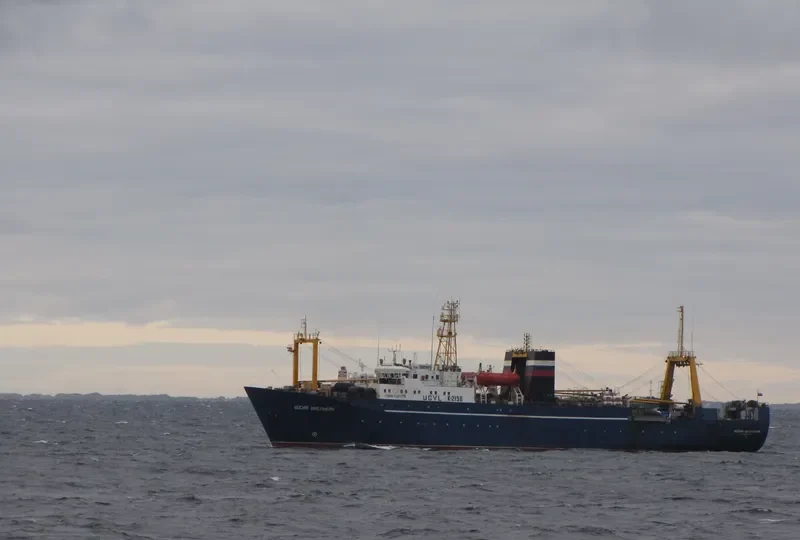 IOSIF SHMELKIN General Cargo IMO 8917223 photo 6