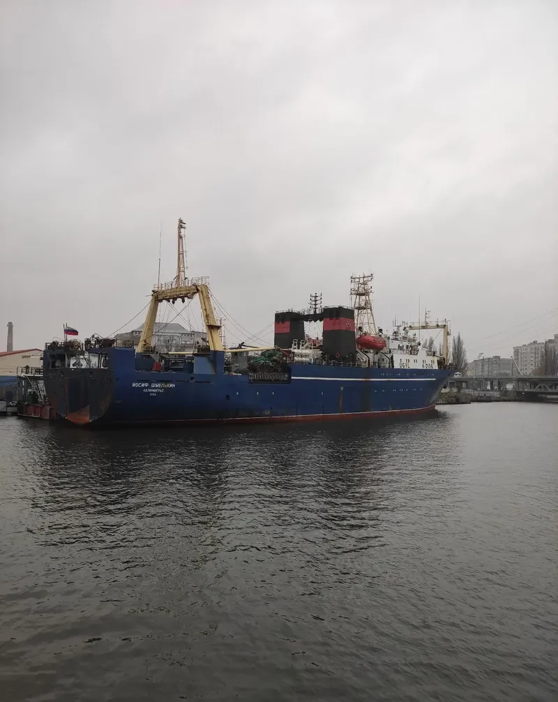 IOSIF SHMELKIN General Cargo IMO 8917223 photo 8