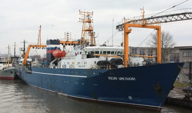 IOSIF SHMELKIN General Cargo IMO 8917223 photo 10