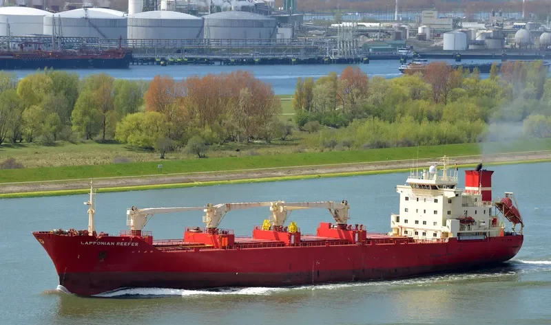 LAPPONIAN REEFER General Cargo IMO 8917534 photo 3