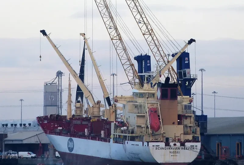 SCANDINAVIAN REEFER General Cargo IMO 8917560 photo 3