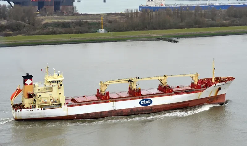 SCANDINAVIAN REEFER General Cargo IMO 8917560 photo 4