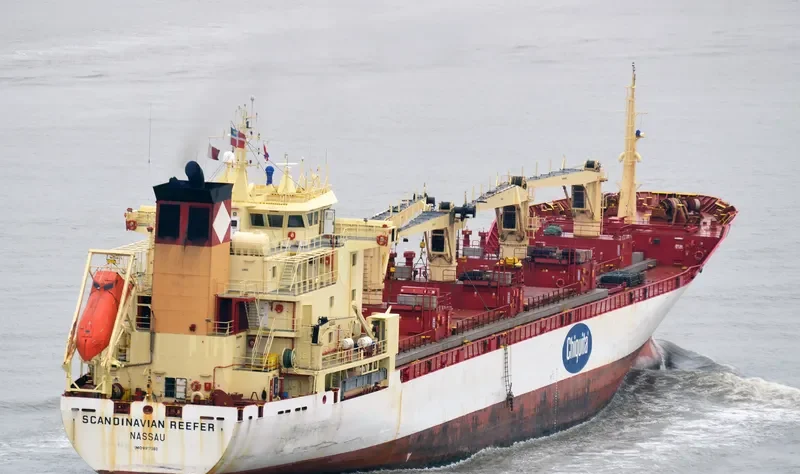 SCANDINAVIAN REEFER General Cargo IMO 8917560 photo 5
