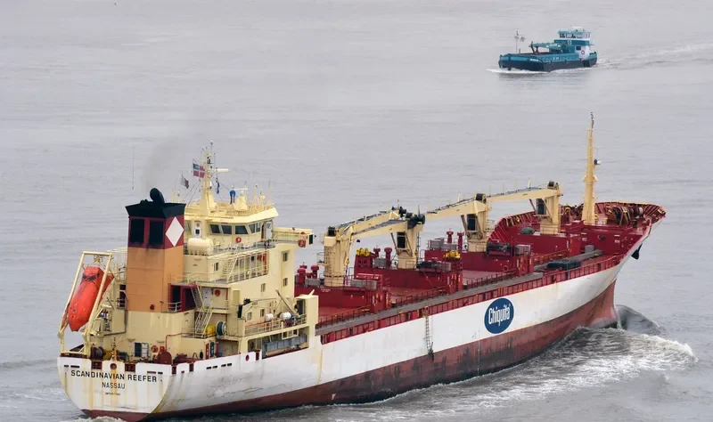 SCANDINAVIAN REEFER General Cargo IMO 8917560 photo 6