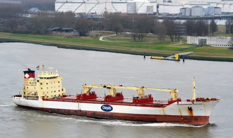 SCANDINAVIAN REEFER General Cargo IMO 8917560 photo 7