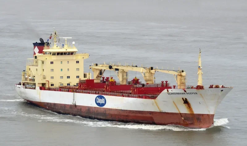 SCANDINAVIAN REEFER General Cargo IMO 8917560 photo 8