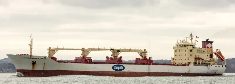 SCANDINAVIAN REEFER General Cargo IMO 8917560 photo 9