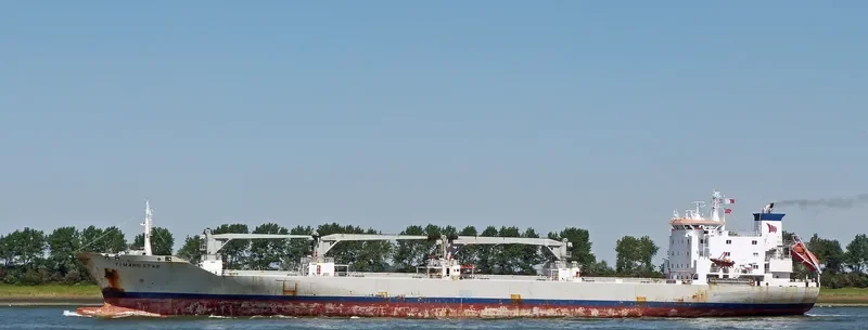 TIMARU STAR General Cargo IMO 8917596 photo 9