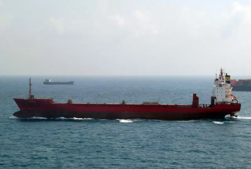 VASI SUN Container Ship IMO 8917687 photo 3