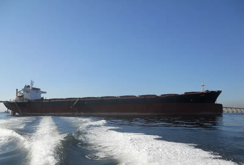 CHINA Bulk Carrier IMO 8917754