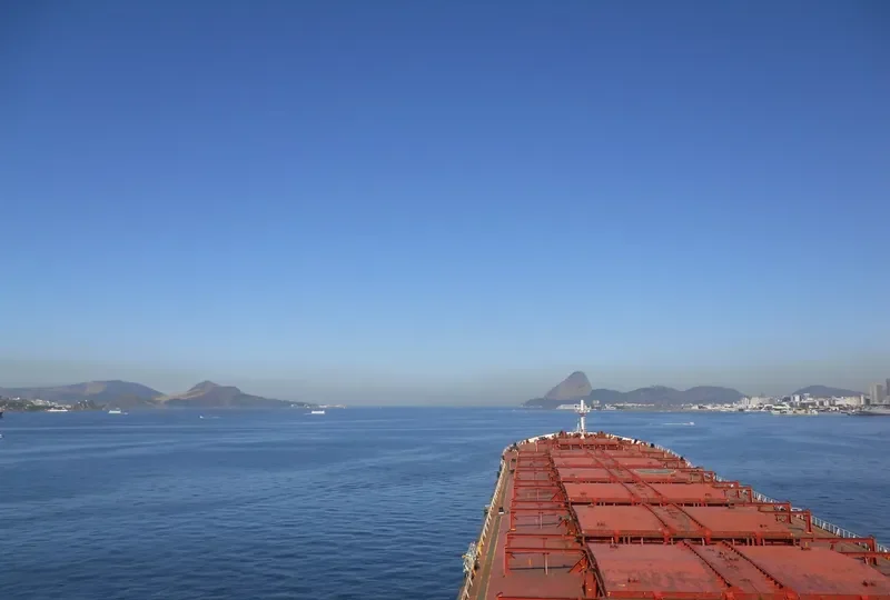CHINA Bulk Carrier IMO 8917754 photo 2