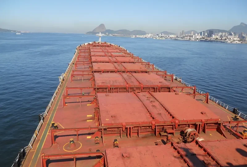 CHINA Bulk Carrier IMO 8917754 photo 3