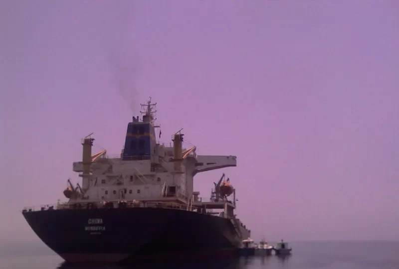 CHINA Bulk Carrier IMO 8917754 photo 4